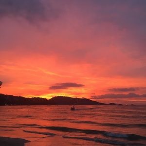 Meet your Posher, Rob